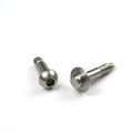 Dongguan factory manufactures special head screws with low wholesale price